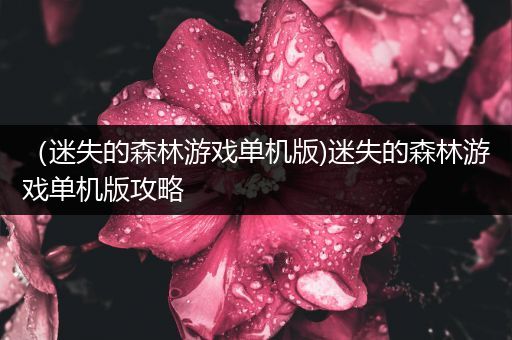 （迷失的森林游戏单机版)迷失的森林游戏单机版攻略