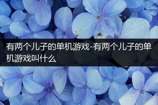 有两个儿子的单机游戏-有两个儿子的单机游戏叫什么