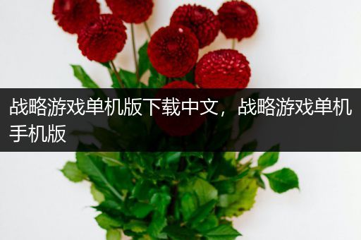 战略游戏单机版下载中文，战略游戏单机手机版