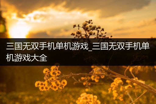 三国无双手机单机游戏_三国无双手机单机游戏大全