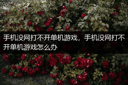 手机没网打不开单机游戏，手机没网打不开单机游戏怎么办