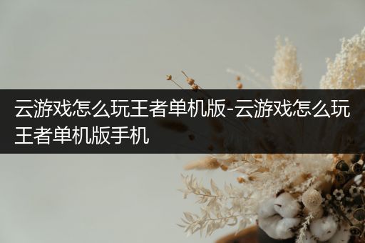 云游戏怎么玩王者单机版-云游戏怎么玩王者单机版手机