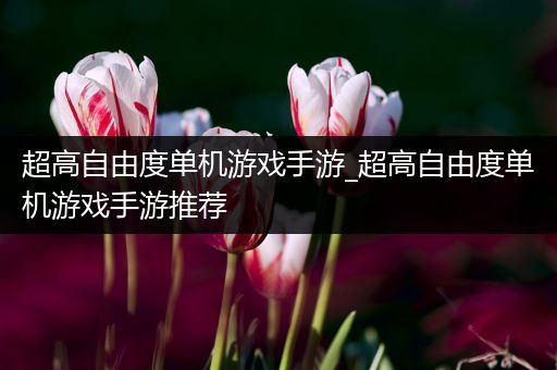 超高自由度单机游戏手游_超高自由度单机游戏手游推荐