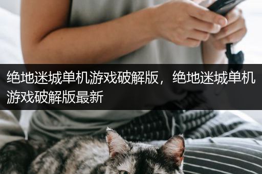绝地迷城单机游戏破解版，绝地迷城单机游戏破解版最新