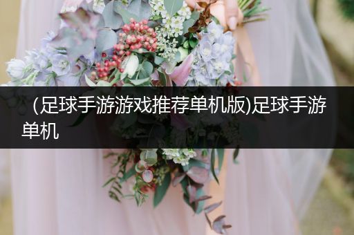 （足球手游游戏推荐单机版)足球手游 单机