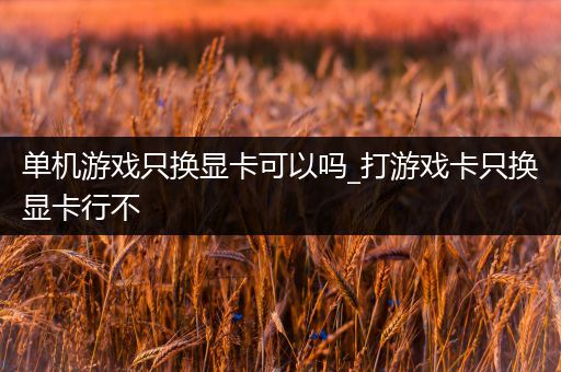 单机游戏只换显卡可以吗_打游戏卡只换显卡行不