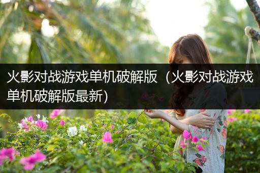 火影对战游戏单机破解版（火影对战游戏单机破解版最新）