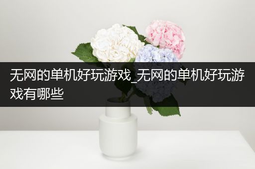 无网的单机好玩游戏_无网的单机好玩游戏有哪些