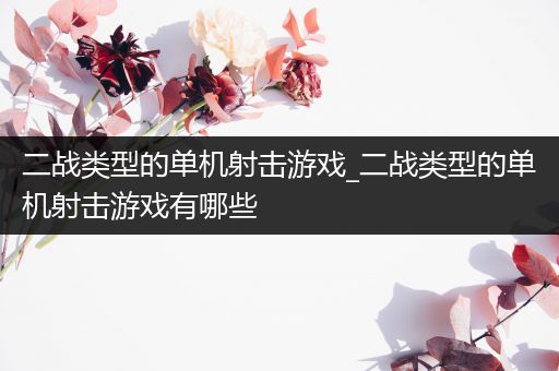 二战类型的单机射击游戏_二战类型的单机射击游戏有哪些