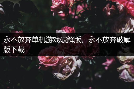 永不放弃单机游戏破解版，永不放弃破解版下载
