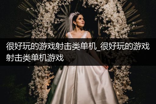 很好玩的游戏射击类单机_很好玩的游戏射击类单机游戏