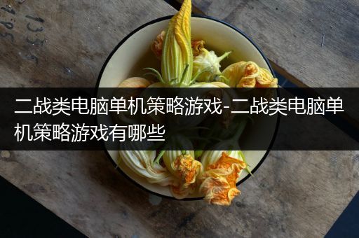 二战类电脑单机策略游戏-二战类电脑单机策略游戏有哪些
