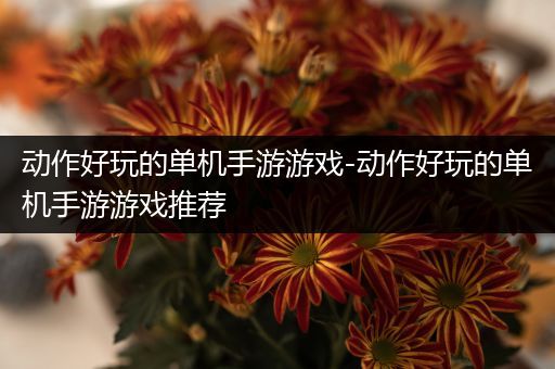 动作好玩的单机手游游戏-动作好玩的单机手游游戏推荐