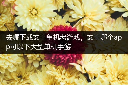 去哪下载安卓单机老游戏，安卓哪个app可以下大型单机手游
