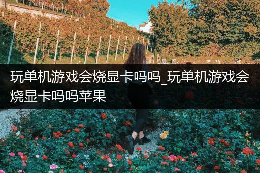 玩单机游戏会烧显卡吗吗_玩单机游戏会烧显卡吗吗苹果