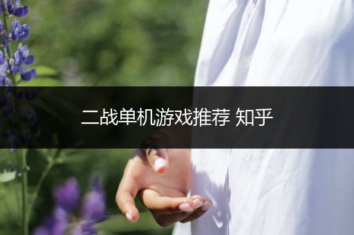 二战单机游戏推荐 知乎