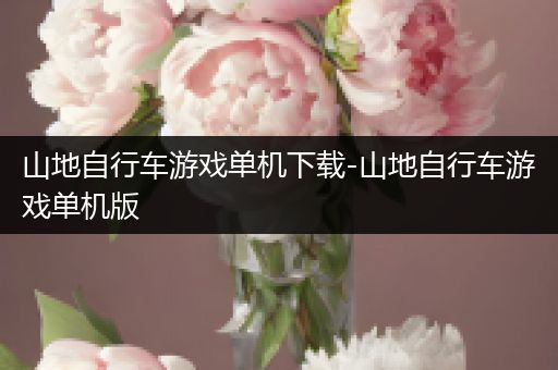 山地自行车游戏单机下载-山地自行车游戏单机版