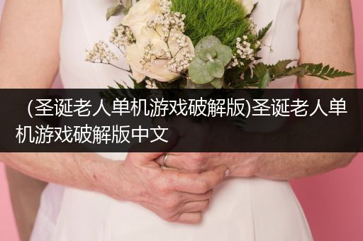 （圣诞老人单机游戏破解版)圣诞老人单机游戏破解版中文