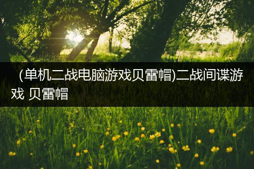 （单机二战电脑游戏贝雷帽)二战间谍游戏 贝雷帽