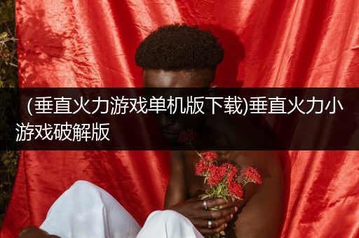 （垂直火力游戏单机版下载)垂直火力小游戏破解版