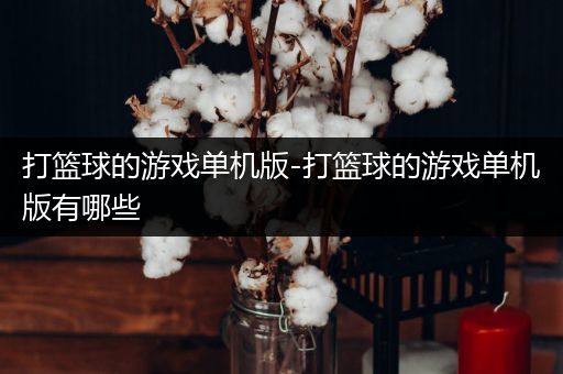 打篮球的游戏单机版-打篮球的游戏单机版有哪些