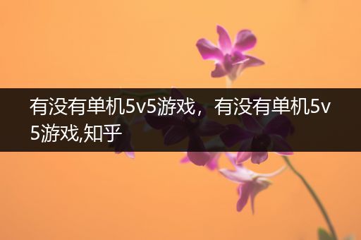 有没有单机5v5游戏，有没有单机5v5游戏,知乎