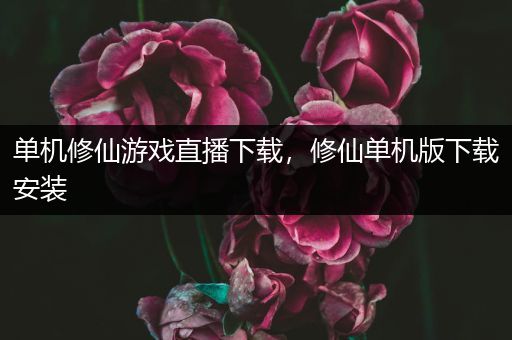 单机修仙游戏直播下载，修仙单机版下载安装
