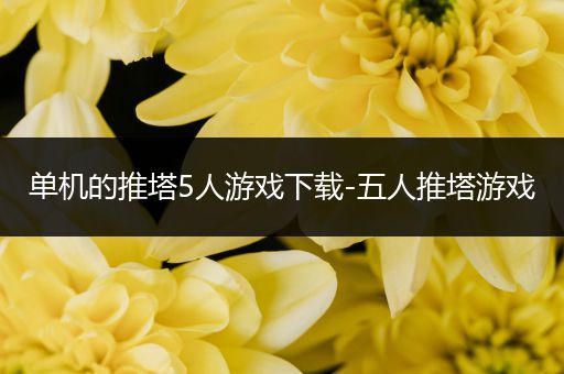单机的推塔5人游戏下载-五人推塔游戏