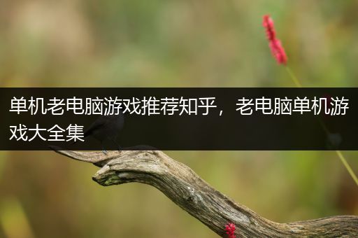 单机老电脑游戏推荐知乎，老电脑单机游戏大全集