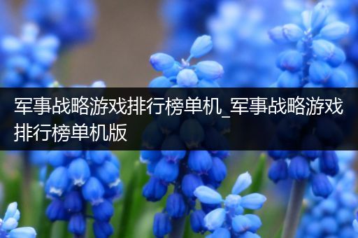 军事战略游戏排行榜单机_军事战略游戏排行榜单机版