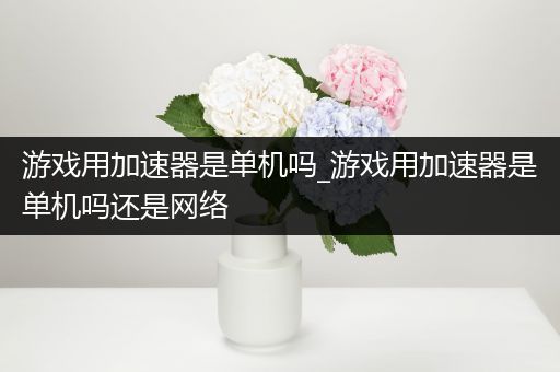 游戏用加速器是单机吗_游戏用加速器是单机吗还是网络