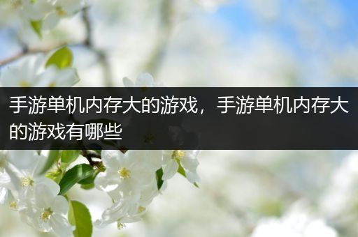 手游单机内存大的游戏，手游单机内存大的游戏有哪些
