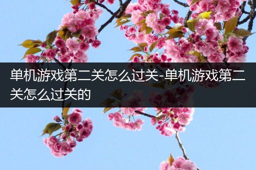 单机游戏第二关怎么过关-单机游戏第二关怎么过关的