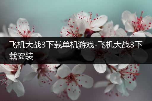 飞机大战3下载单机游戏-飞机大战3下载安装