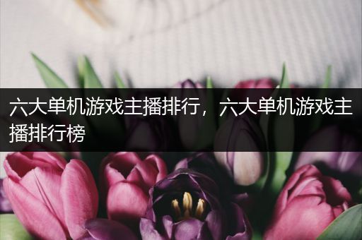 六大单机游戏主播排行，六大单机游戏主播排行榜