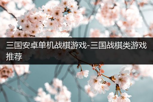 三国安卓单机战棋游戏-三国战棋类游戏推荐