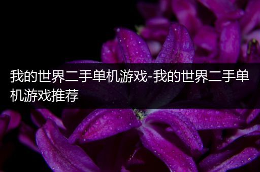 我的世界二手单机游戏-我的世界二手单机游戏推荐