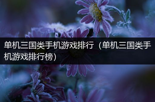 单机三国类手机游戏排行（单机三国类手机游戏排行榜）