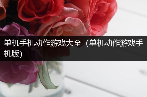 单机手机动作游戏大全（单机动作游戏手机版）