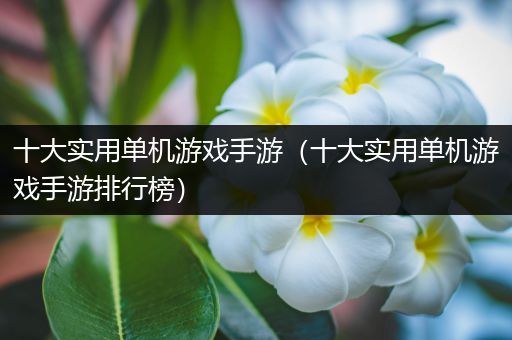 十大实用单机游戏手游（十大实用单机游戏手游排行榜）