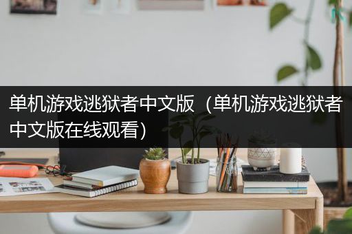 单机游戏逃狱者中文版（单机游戏逃狱者中文版在线观看）