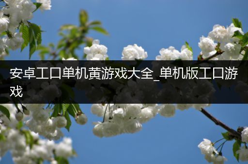 安卓工口单机黄游戏大全_单机版工口游戏