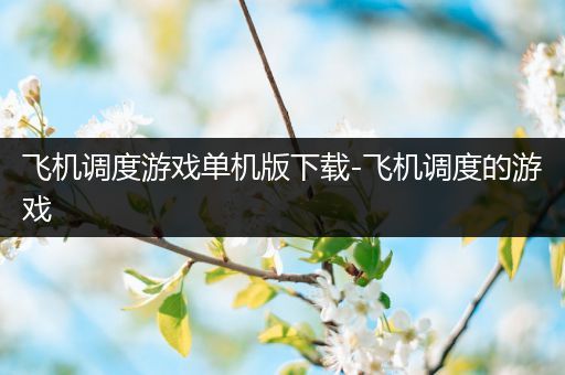 飞机调度游戏单机版下载-飞机调度的游戏