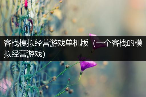 客栈模拟经营游戏单机版（一个客栈的模拟经营游戏）