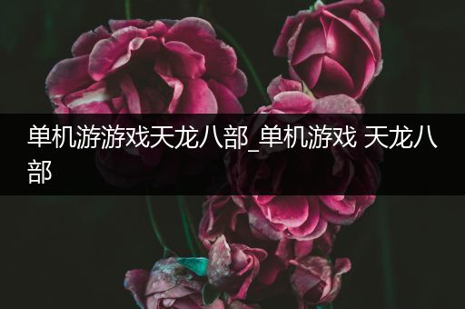 单机游游戏天龙八部_单机游戏 天龙八部