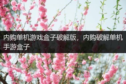 内购单机游戏盒子破解版，内购破解单机手游盒子