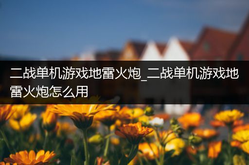 二战单机游戏地雷火炮_二战单机游戏地雷火炮怎么用