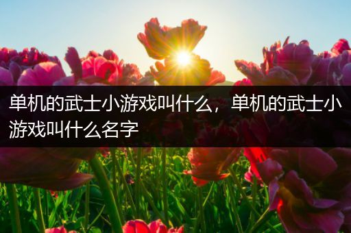 单机的武士小游戏叫什么，单机的武士小游戏叫什么名字