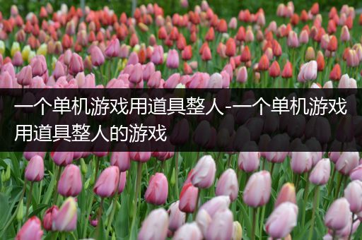 一个单机游戏用道具整人-一个单机游戏用道具整人的游戏