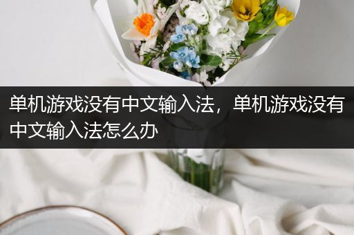 单机游戏没有中文输入法，单机游戏没有中文输入法怎么办